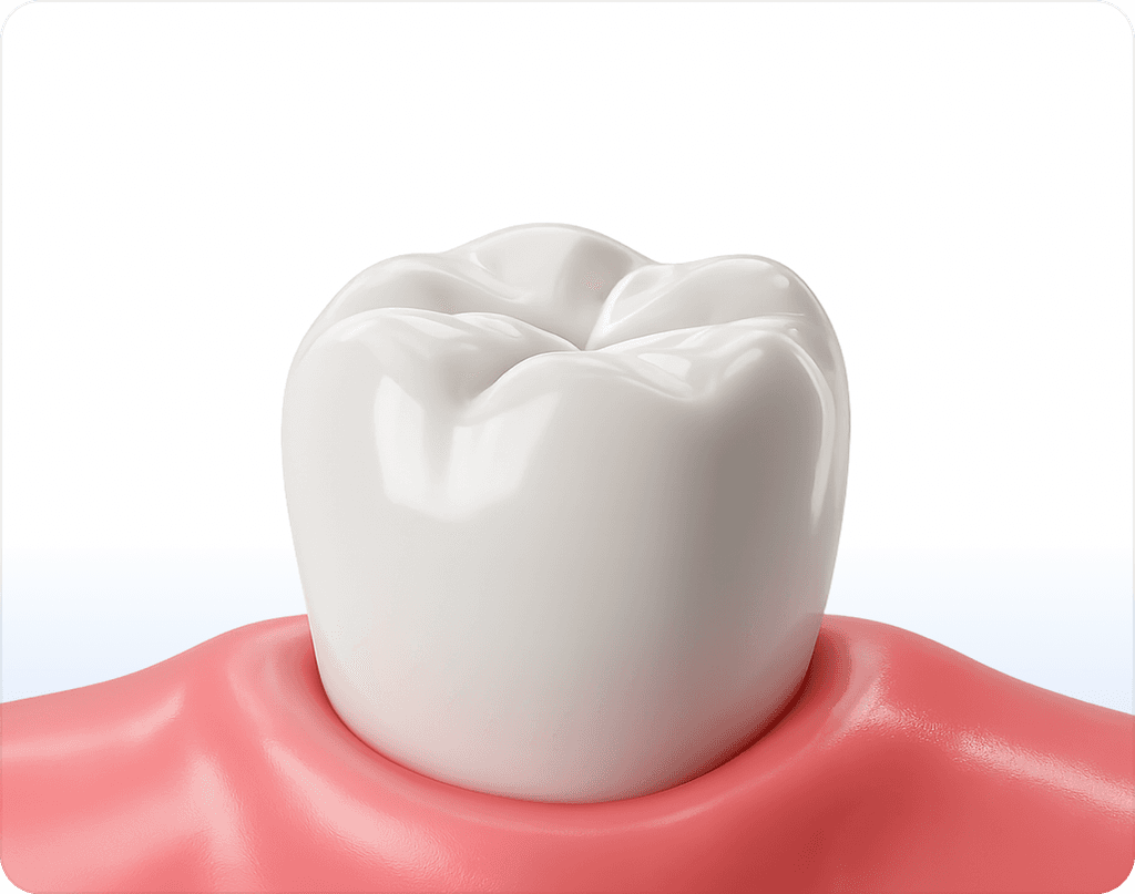 Odontología general y preventiva